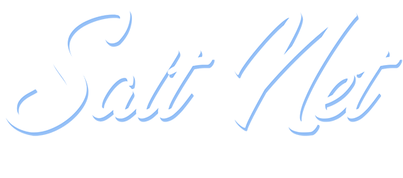 Logo of The Salt Net, featuring stylized text in blue, representing a marketing consultancy focused on helping small businesses improve their strategies.